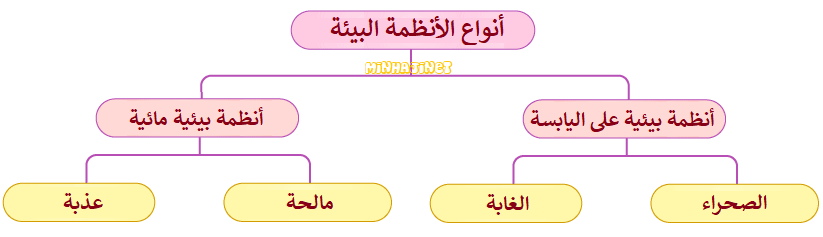 أنواع الأنظمة البيئية أنواع الأنظمة البيئية
